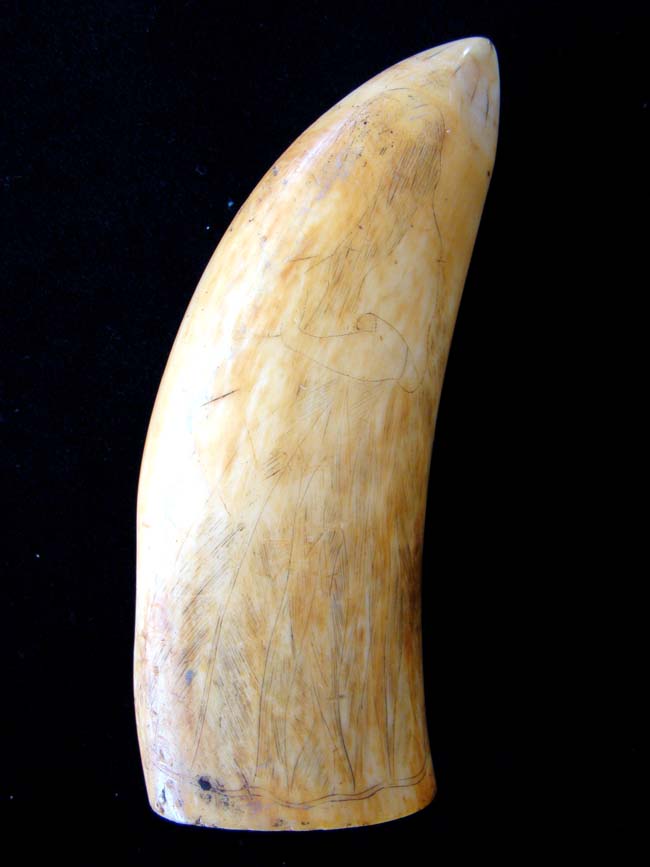 A 19th century Whale's Tooth with faint traces of early scriming. — image 2